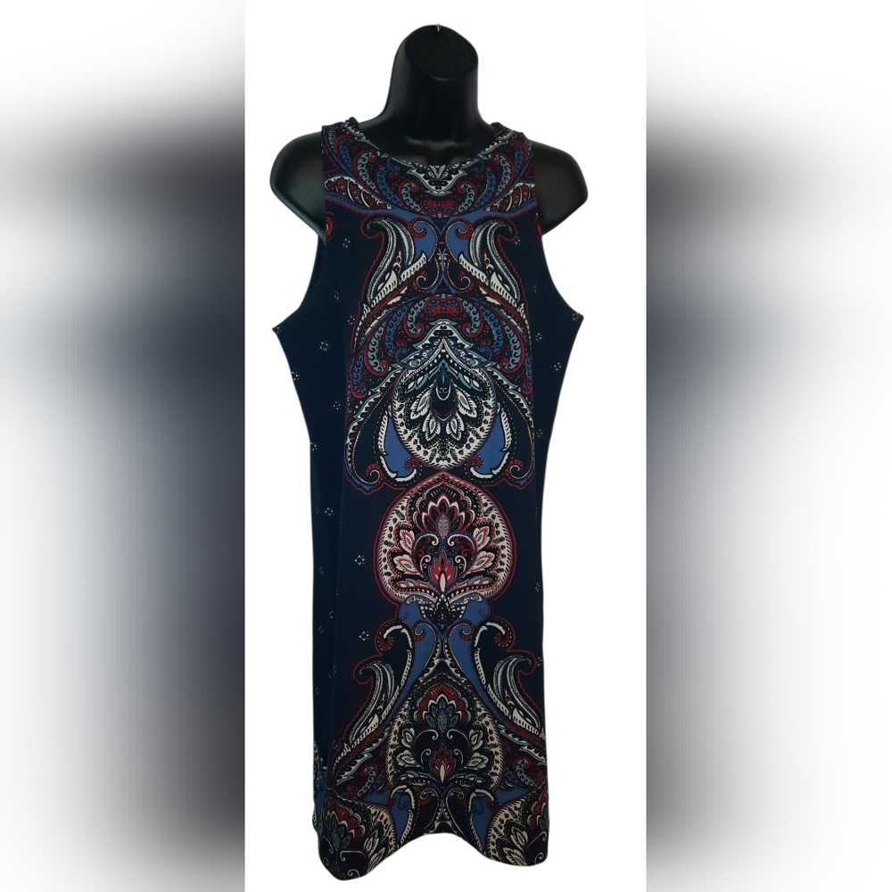 Banana Republic Asymmetrical Dress in Blue and Red Paisley